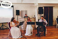 Портфолио струнного коллектива «Sunlight»