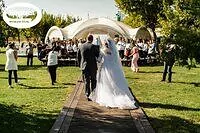 Портфолио #ХОЧУВШАТЕР