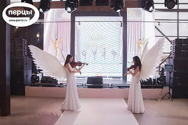 инструментальное шоу волгоград