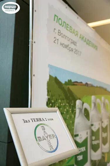 Баннер на концеренции