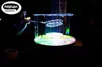 Портфолио шоу гигантских мыльных пузырей «Чудеса в решете»