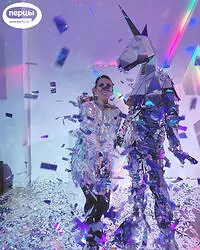 Зеркальные единороги Беженарь шоу