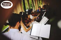 Портфолио струнного коллектива «Sunlight»