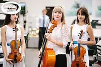 Портфолио струнного коллектива «Sunlight»