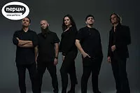 портфолио кавер группы мадрид