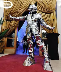 Зеркальные люди Беженарь шоу