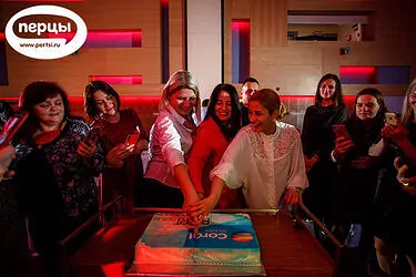 портфолио организация конференции и презентации