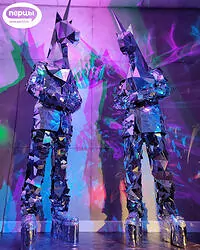 Зеркальные единороги Беженарь шоу