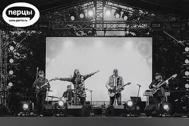 организация праздников и мероприятий