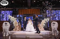 свадебный фотограф Антон Сидоренко