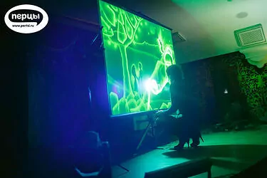 Свадебное световое шоу