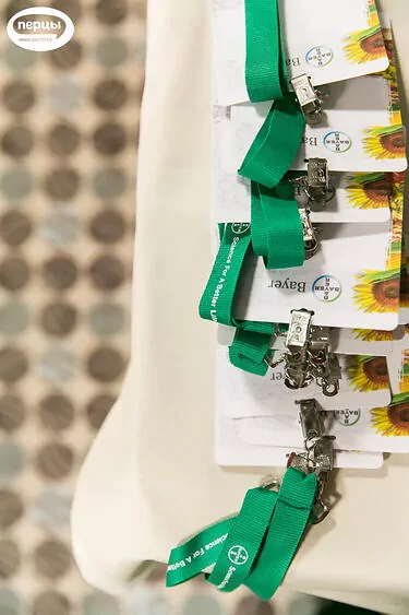 бейджи для презентации